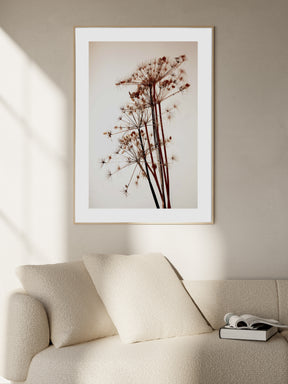 Dried Flowers Poster