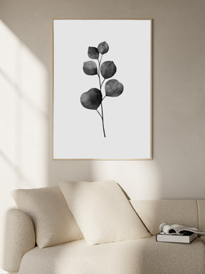 Eucalyptus Plants Poster