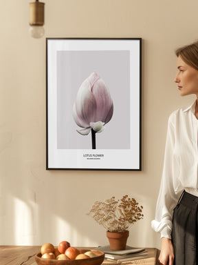 Lotus Flower Poster