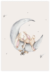 Baby Rabbit Sleeping Poster - KAMAN