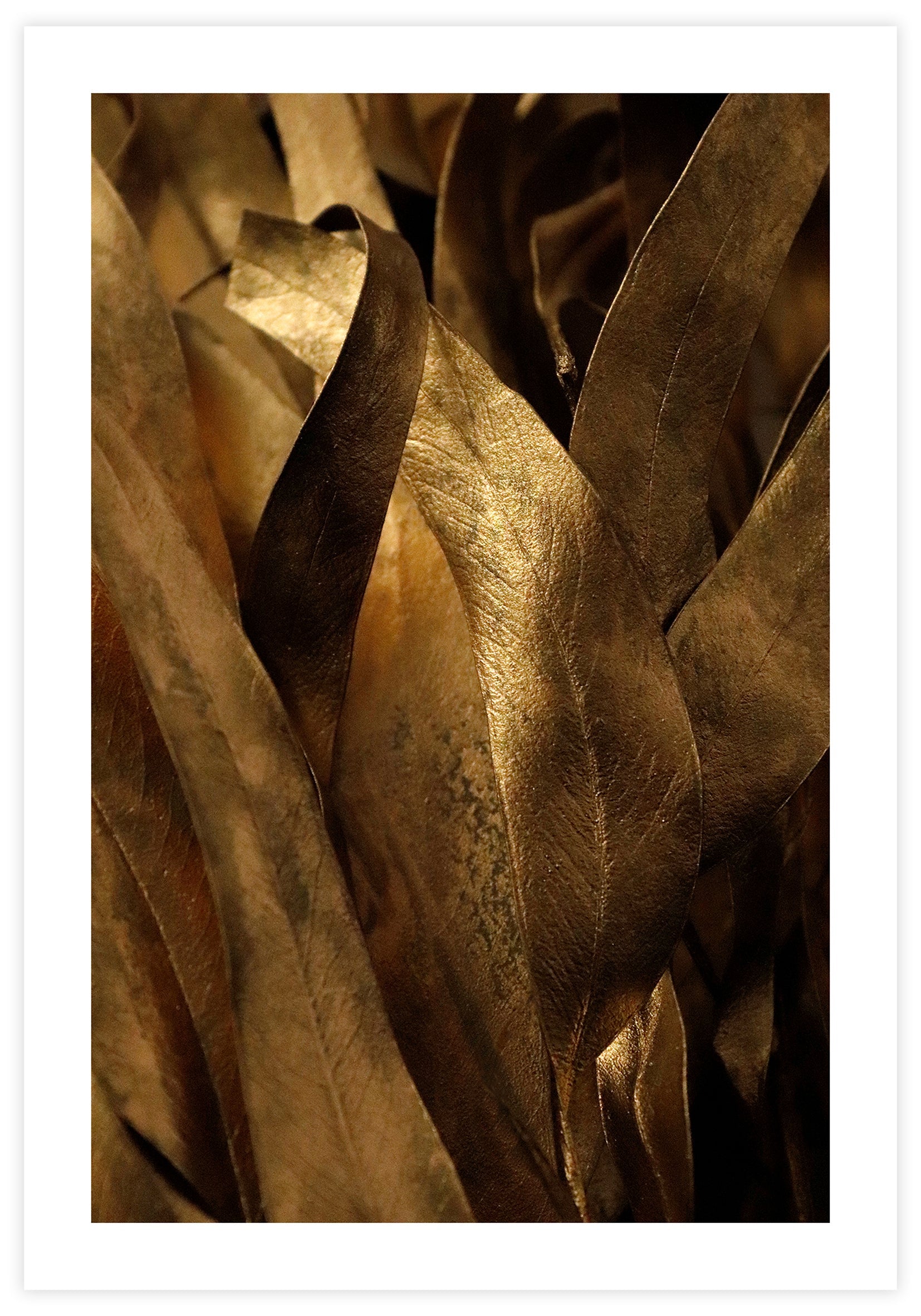 Golden Leaf Poster