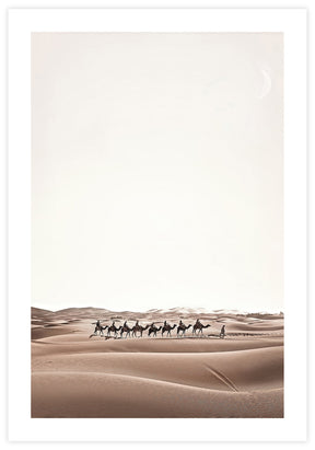 Camels In Dune Poster