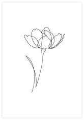 Line Art Flowers no2 Poster - KAMAN
