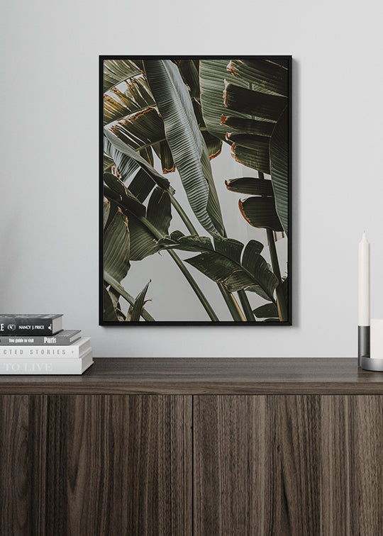 Green Plants Poster